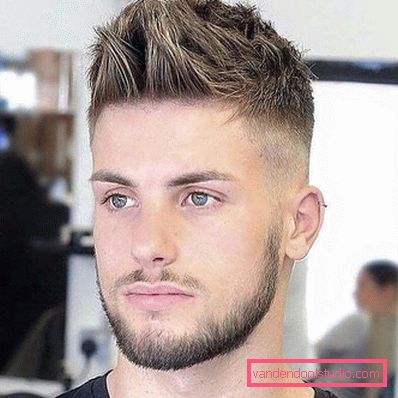 Jež