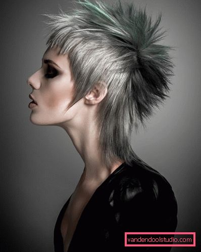 Boyish haircut gavrosh