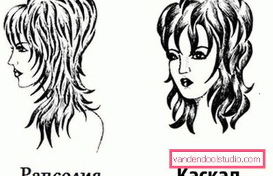 Šema šišanja Rapsodija