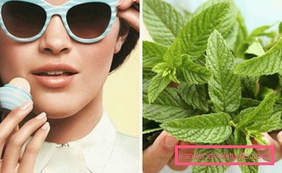 mint balm mint balm
