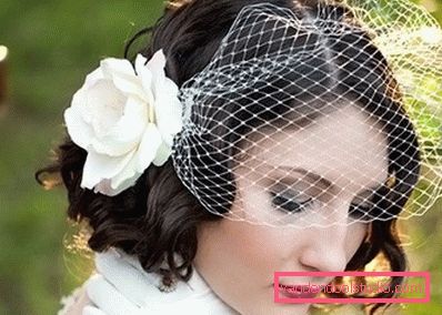 mladenka sa velom i kovrčavim bravama mladenka sa velom i kovrčavim bravama