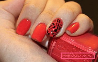 leopard design