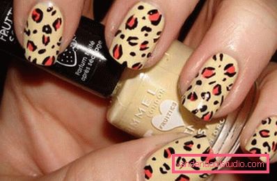 animal print animal print