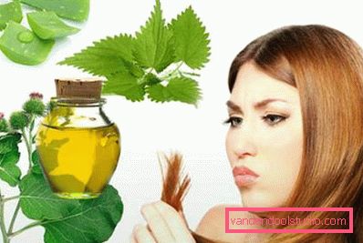 kopriva i aloe kopriva i aloe