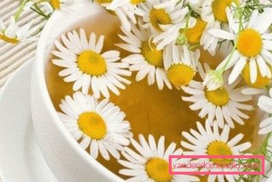 decoction of chamomile decoction of chamomile