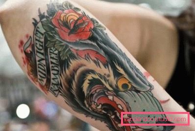 tattoo nova škola