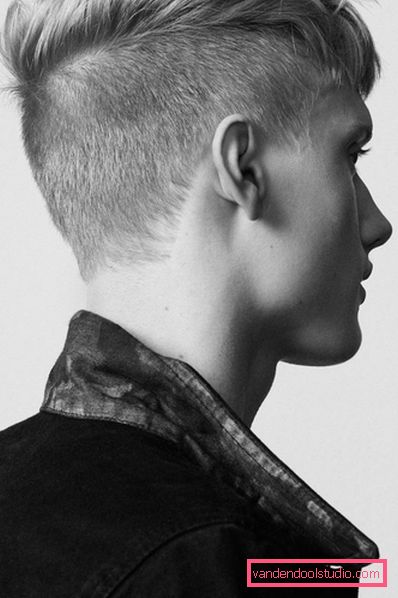 Hitlerova frizura za mlade Glavne osobine kose Hitlerove omladine i ko odgovara