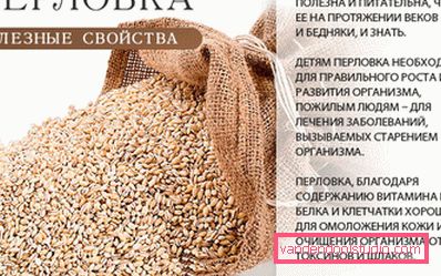 korisna svojstva ječma korisna svojstva ječma