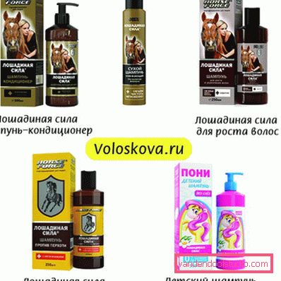Šampon