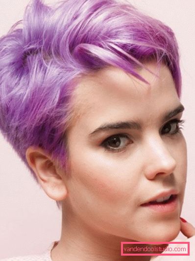 Frizura Pixie za kratku kosu 2018 - 2019 - fotografije sa svih strana