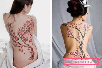 Sakura na poleđini devojke Sakura na poleđini devojke
