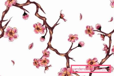 Cherry blossoms Cherry blossoms