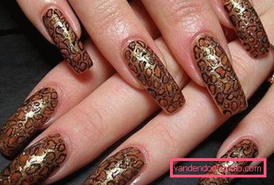 leopard design leopard design