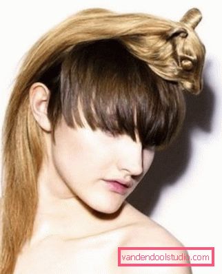 Funny hairstyles Top smiješne kose za muškarce