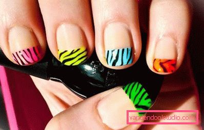 zebra design zebra design